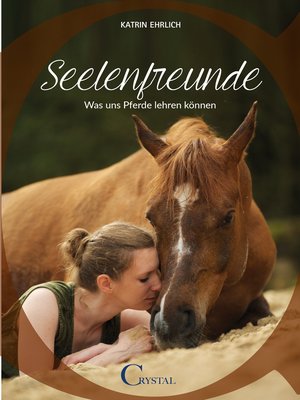 cover image of Seelenfreunde